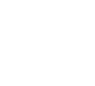 Ecommerce Applications Services
