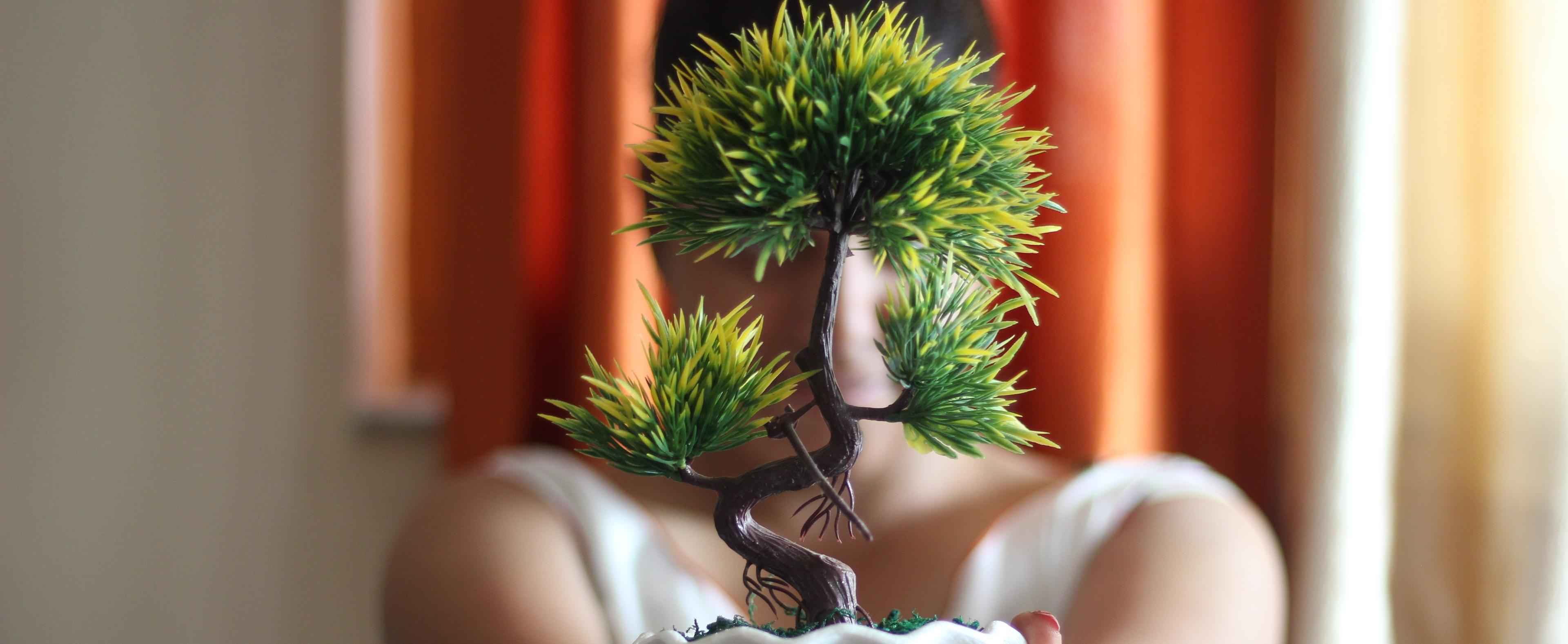 Grow-Trees Mobile App